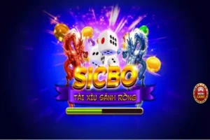 Bật mí những lưu ý khi chơi game sicbo tại nhà game Go88